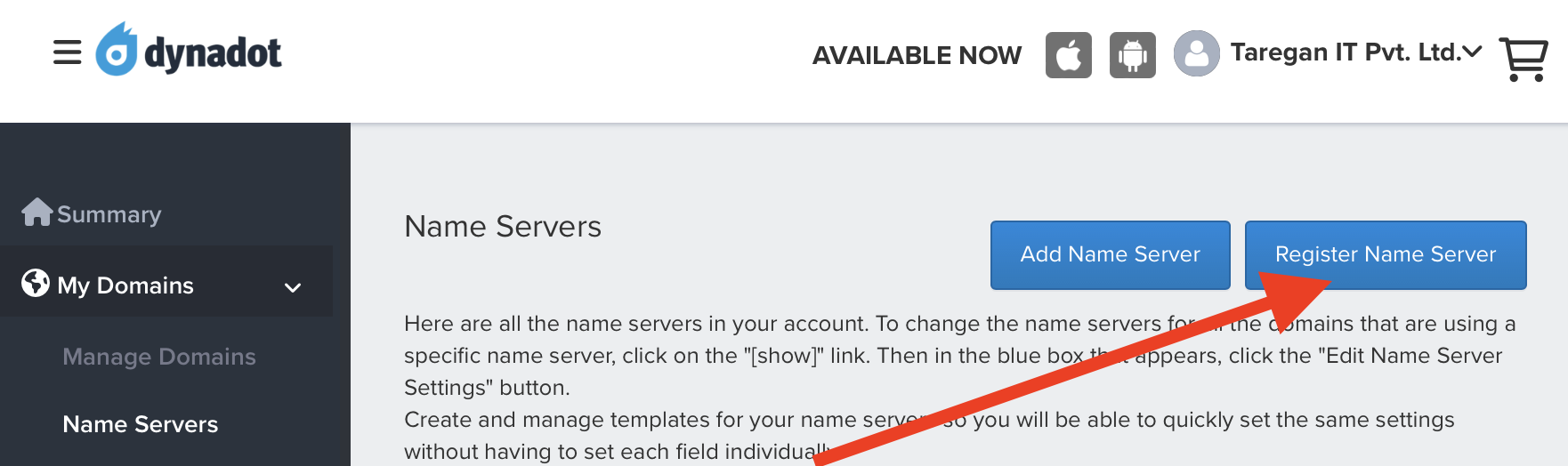 Register Name Server