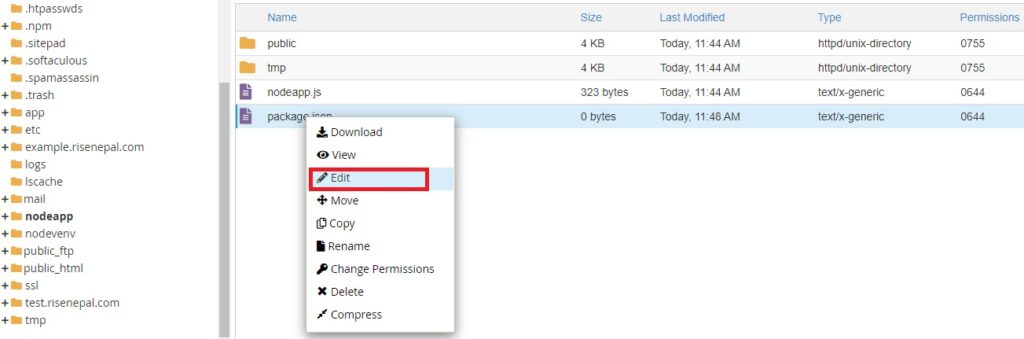 Editing package.json file