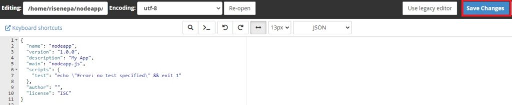 Editing code in package.json file