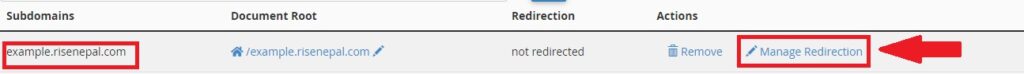 Redirecting subdomains