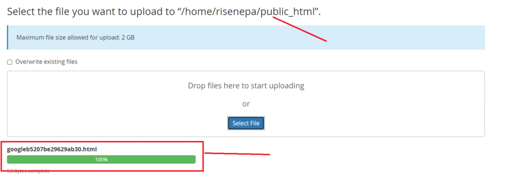 How to Add and Verify a Domain to Google Search Console( 2 method)? 14 11 1